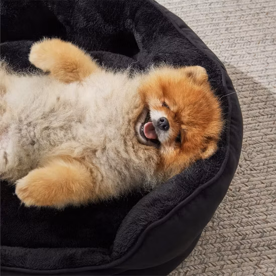 Индивидуальная современная пещерная круглая капсульная акриловая прозрачная круглая круглая кровать для собак и кошек для домашних кошек и собак